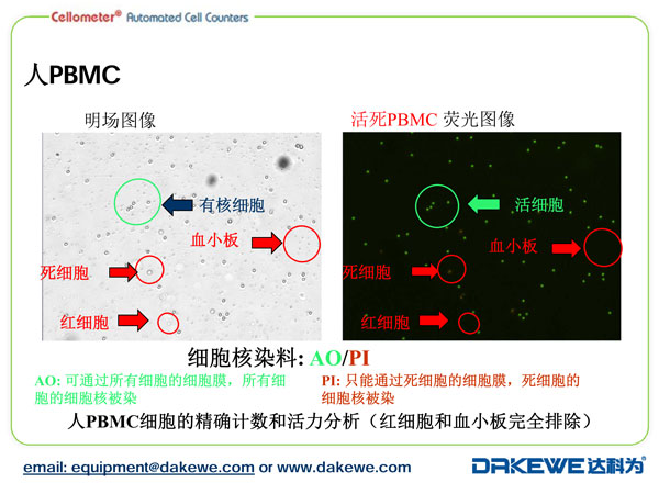 Auto2000細胞計數(shù)儀計數(shù)PBMC樣本案例